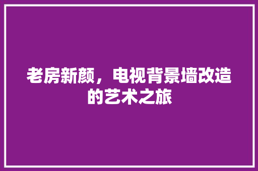 老房新颜，电视背景墙改造的艺术之旅 家电维修