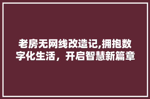 老房无网线改造记,拥抱数字化生活，开启智慧新篇章