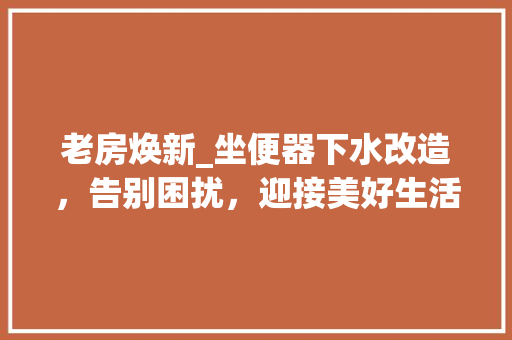 老房焕新_坐便器下水改造，告别困扰，迎接美好生活