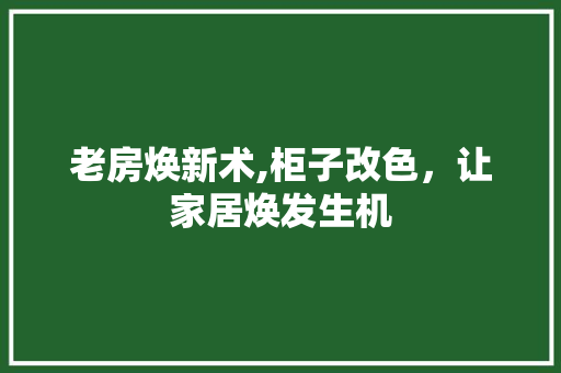 老房焕新术,柜子改色，让家居焕发生机 墙体维修