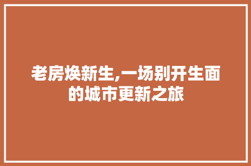 老房焕新生,一场别开生面的城市更新之旅 墙体维修