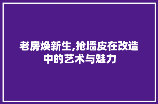 老房焕新生,抢墙皮在改造中的艺术与魅力