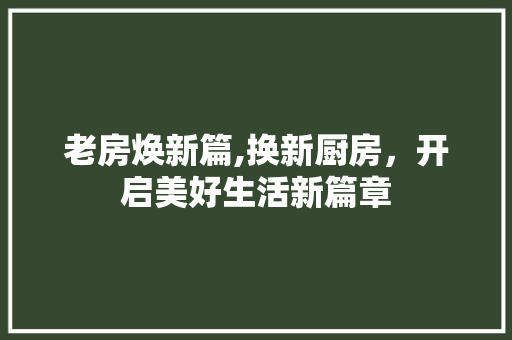 老房焕新篇,换新厨房，开启美好生活新篇章 综合便民