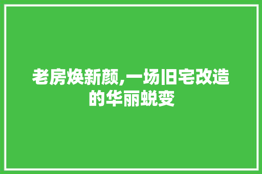 老房焕新颜,一场旧宅改造的华丽蜕变