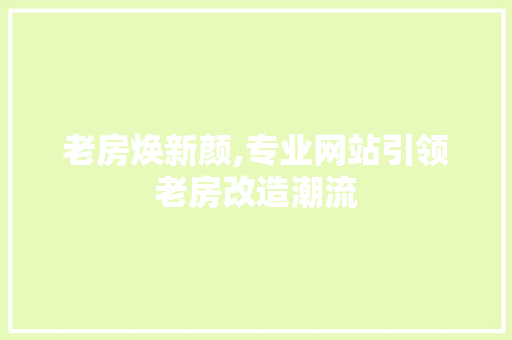 老房焕新颜,专业网站引领老房改造潮流