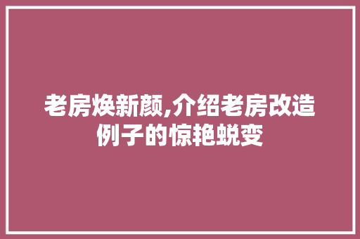 老房焕新颜,介绍老房改造例子的惊艳蜕变