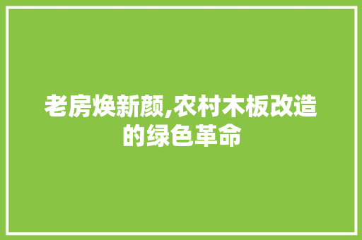 老房焕新颜,农村木板改造的绿色革命