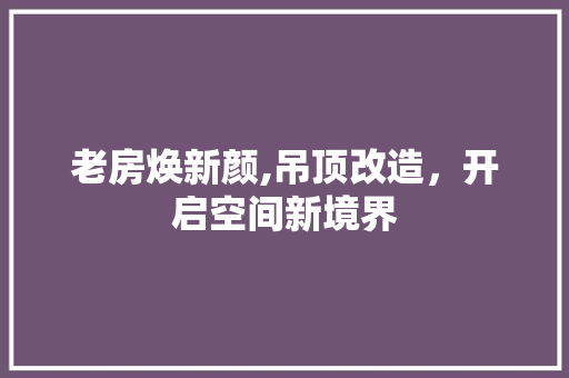 老房焕新颜,吊顶改造，开启空间新境界 家电维修