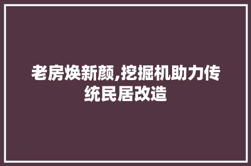 老房焕新颜,挖掘机助力传统民居改造