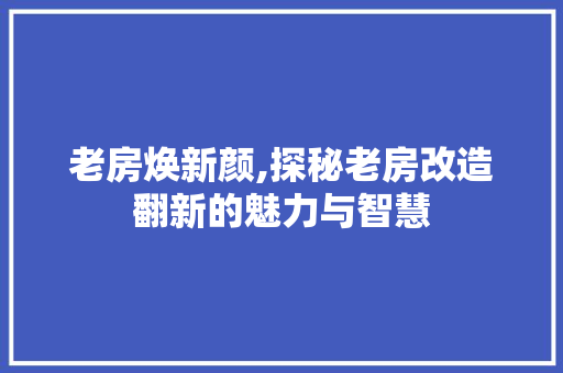 老房焕新颜,探秘老房改造翻新的魅力与智慧 墙体维修