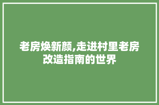 老房焕新颜,走进村里老房改造指南的世界