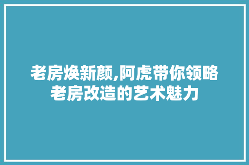 老房焕新颜,阿虎带你领略老房改造的艺术魅力
