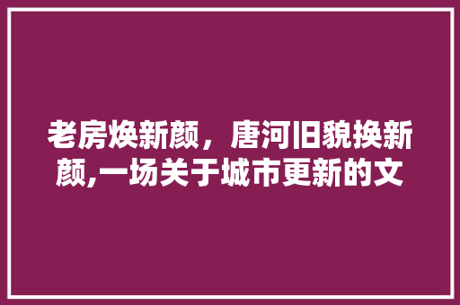 老房焕新颜，唐河旧貌换新颜,一场关于城市更新的文化之旅 墙体维修