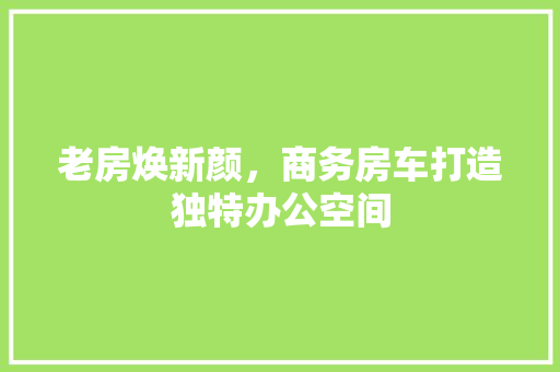 老房焕新颜，商务房车打造独特办公空间