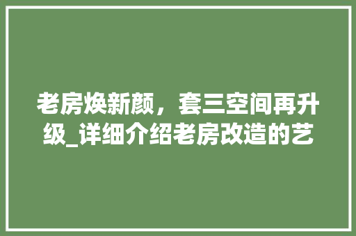 老房焕新颜，套三空间再升级_详细介绍老房改造的艺术与科学 墙体维修