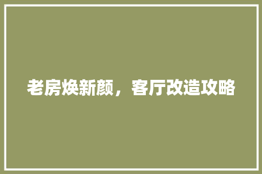 老房焕新颜，客厅改造攻略 家电维修