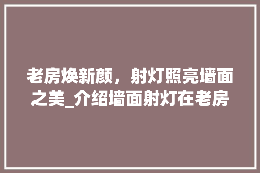 老房焕新颜，射灯照亮墙面之美_介绍墙面射灯在老房改造中的魅力