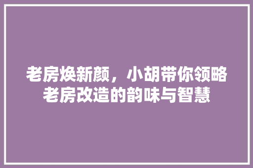 老房焕新颜，小胡带你领略老房改造的韵味与智慧