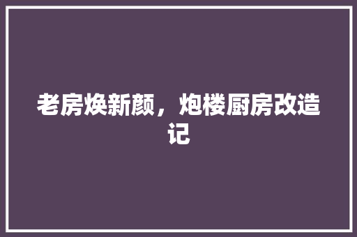 老房焕新颜，炮楼厨房改造记