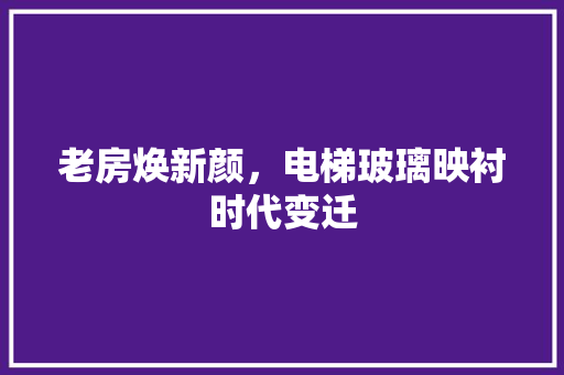 老房焕新颜，电梯玻璃映衬时代变迁