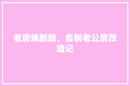 老房焕新颜，自制老公房改造记 墙体维修