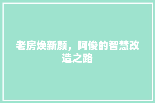 老房焕新颜，阿俊的智慧改造之路