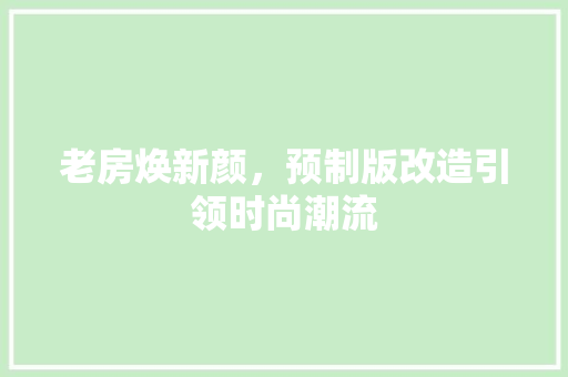 老房焕新颜，预制版改造引领时尚潮流 墙体维修