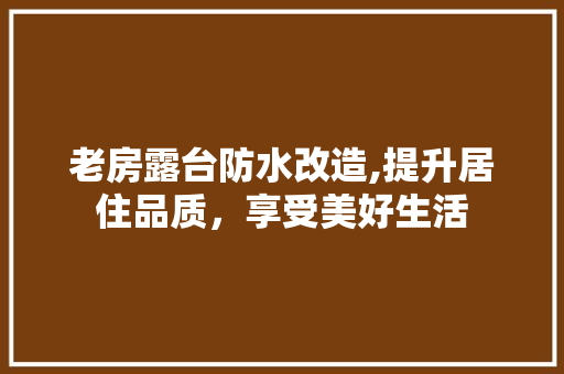 老房露台防水改造,提升居住品质，享受美好生活