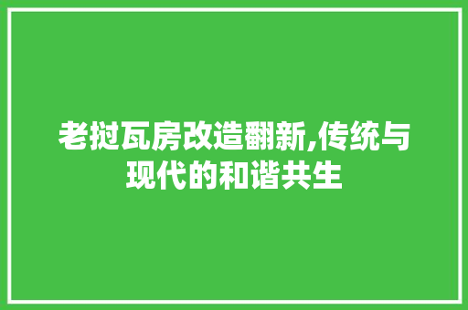 老挝瓦房改造翻新,传统与现代的和谐共生