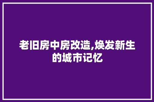 老旧房中房改造,焕发新生的城市记忆