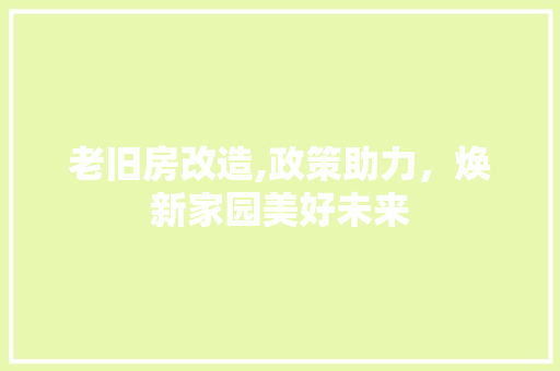 老旧房改造,政策助力，焕新家园美好未来