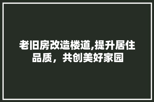 老旧房改造楼道,提升居住品质，共创美好家园
