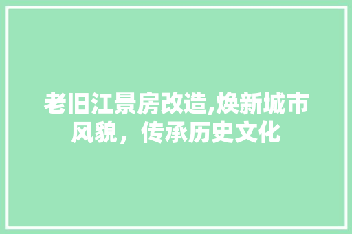 老旧江景房改造,焕新城市风貌，传承历史文化