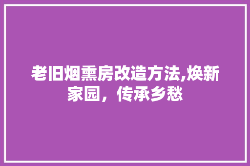 老旧烟熏房改造方法,焕新家园，传承乡愁