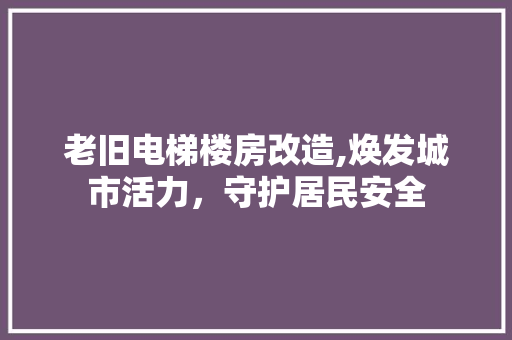 老旧电梯楼房改造,焕发城市活力，守护居民安全