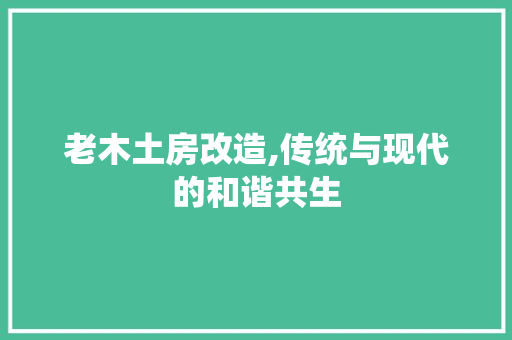 老木土房改造,传统与现代的和谐共生