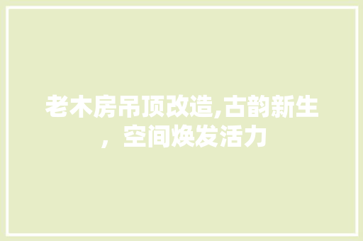 老木房吊顶改造,古韵新生，空间焕发活力