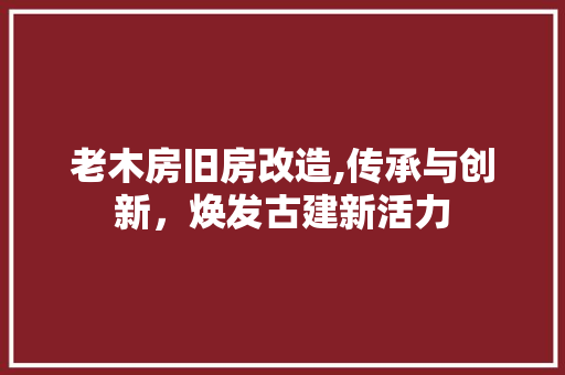 老木房旧房改造,传承与创新，焕发古建新活力