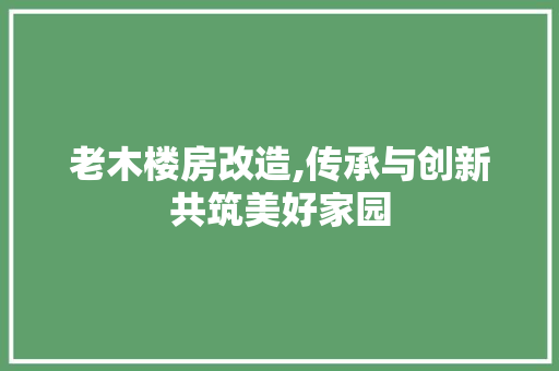 老木楼房改造,传承与创新共筑美好家园