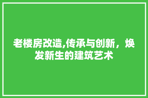 老楼房改造,传承与创新，焕发新生的建筑艺术