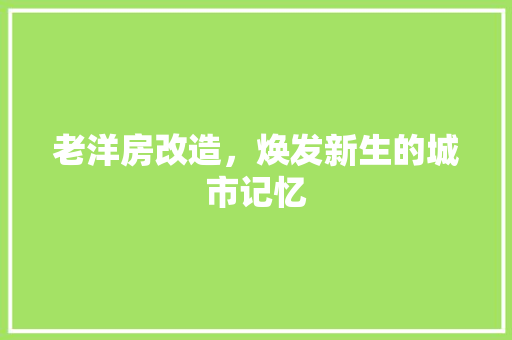 老洋房改造，焕发新生的城市记忆