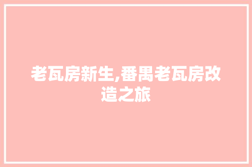 老瓦房新生,番禺老瓦房改造之旅