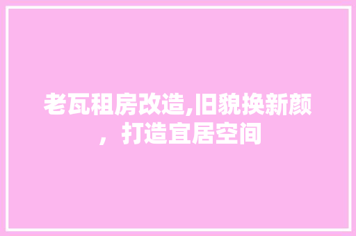 老瓦租房改造,旧貌换新颜，打造宜居空间 厨房维修