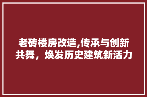 老砖楼房改造,传承与创新共舞，焕发历史建筑新活力