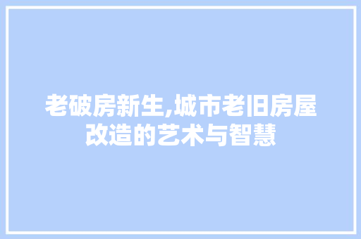 老破房新生,城市老旧房屋改造的艺术与智慧
