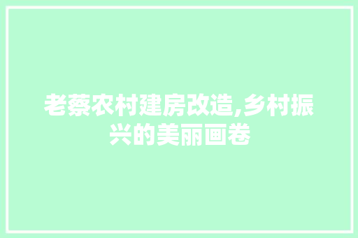 老蔡农村建房改造,乡村振兴的美丽画卷