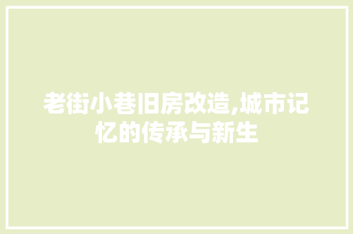 老街小巷旧房改造,城市记忆的传承与新生