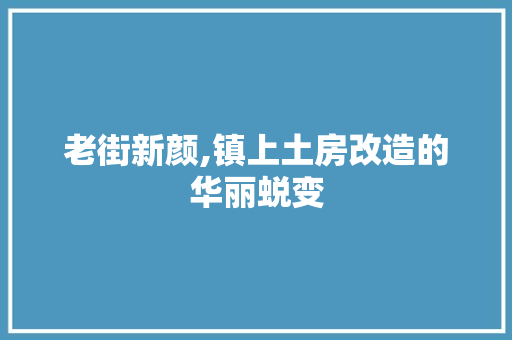 老街新颜,镇上土房改造的华丽蜕变