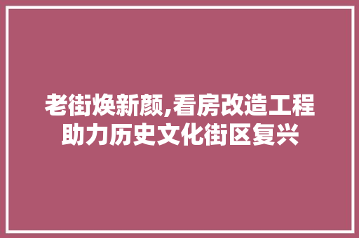 老街焕新颜,看房改造工程助力历史文化街区复兴