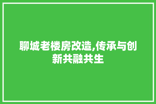 聊城老楼房改造,传承与创新共融共生